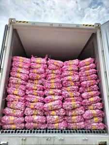 Fornitore cinese all'ingrosso dell'esportazione del distributore dell'aglio bianco fresco della cina da vendere alibaba - Product Image 3