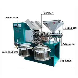 Edible Oil Press Machine for Home Use Stainless Steel Screw Oil Press Machine for Cold Pressed Oil Extraction