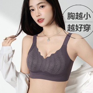 Ropa interior sin costuras Pechos pequeños Push up para mujer Sujetador de pecho grande antiflacidez Expansión exterior Sujetador de elevación ajustable - Product Image 1