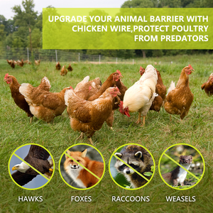 16 ''* 82 'gà dây hàng rào lưới gia cầm dây lưới ngoài trời lục giác mạ kẽm lưới hàng rào vườn cho Coop rào cản - Product Image 6