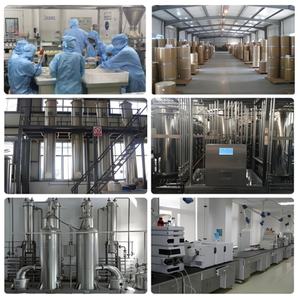 Оптовая продажа, высококачественный Чистый Натуральный Грибной Порошок Maitake, Грибной Порошок Grifola Frondosa - Product Image 5