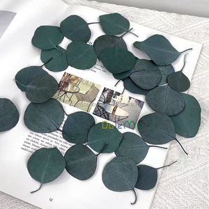 Feuilles d'eucalyptus naturelles personnalisées 100% feuilles d'eucalyptus préservées pour confettis de mariage/décoration de gâteau - Product Image 3