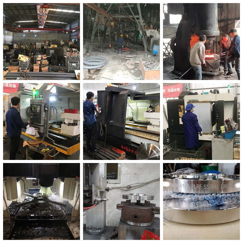 Customize ANSI DIN JIS Stainless Steel 304 316 PL Flange