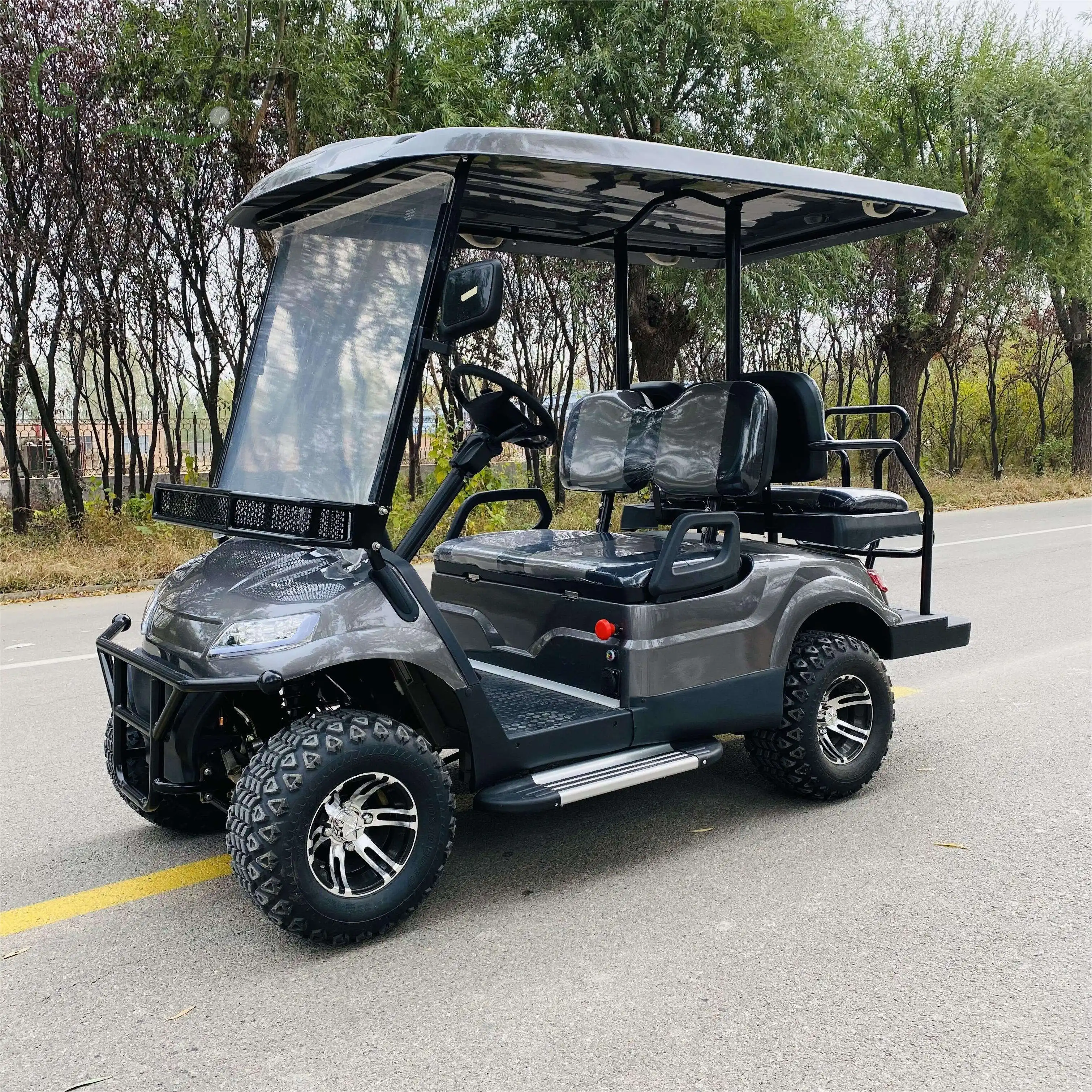 Venta al por mayor modelo de carrito de golf eléctrico aceptar personalizado 2 + 2 asientos camión eléctrico carrito de golf