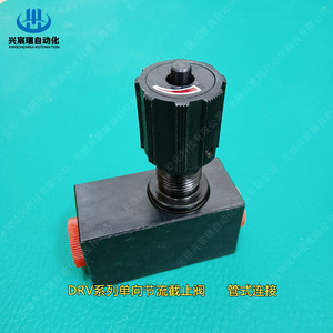 Vanne de coupure à sens unique Xingchenrui DV10-2 pour le contrôle du débit d'huile, vanne de retenue bidirectionnelle haute pression - Product Image 5