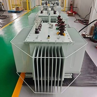 Transformateur de distribution immergé dans l'huile triphasé S13 en cuivre pur 50/60Hz 30KVA~2500KVA avec entrée 10KV 11KV pour alimentation électrique