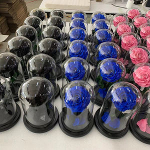 Candelabro de <span class=keywords><strong>La</strong></span> Bella y <span class=keywords><strong>La</strong></span> <span class=keywords><strong>Bestia</strong></span> rosa de <span class=keywords><strong>La</strong></span> Bella y <span class=keywords><strong>La</strong></span> <span class=keywords><strong>Bestia</strong></span> flor eterna preservada en cúpula de cristal - Product Image 3