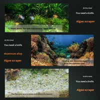 Brosse de nettoyage en acier inoxydable pour aquarium, grattoir à algues et mousse, outil écologique pour le nettoyage du salon, vente en gros