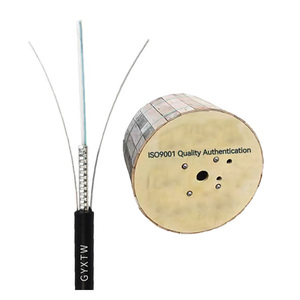 <span class=keywords><strong>Cable</strong></span> de <span class=keywords><strong>Fibra</strong></span> Óptica Blindado para Exteriores GYXTW, Suministro de Fábrica, <span class=keywords><strong>Cable</strong></span> de <span class=keywords><strong>Fibra</strong></span> Óptica Monomodo de 2, 4, 6, 8, 12, 16, 24 Núcleos, <span class=keywords><strong>Precio</strong></span> por <span class=keywords><strong>Metro</strong></span> - Product Image 3