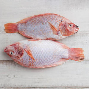 <span class=keywords><strong>ปลา</strong></span>นิลแช่แข็งขายส่ง <span class=keywords><strong>ปลา</strong></span>นิลแดง <span class=keywords><strong>ปลา</strong></span>นิลโรจา <span class=keywords><strong>ปลา</strong></span>ทิลาเปียรูจ <span class=keywords><strong>ปลา</strong></span>แช่แข็งสำหรับส่งออก - Product Image 1
