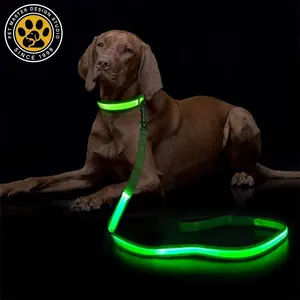 SinSky Night Safety Led Dog Glow In Dark Collar luminoso ajustable Light Up USB Correas para perros