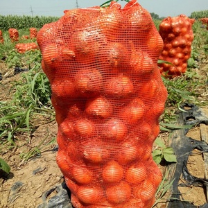 Cây trồng mới tươi màu vàng đỏ hành tây giá bán buôn mỗi tấn Trung Quốc Top Grade hành tây xuất khẩu - Product Image 3