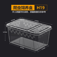 NOUVEAU Boîte d'élevage de reptiles en plastique transparent Boîte de transport pour serpents Geckos Lézards Grenouilles