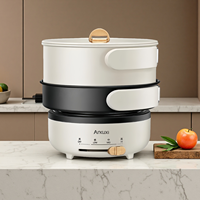 Cuisinière électrique multifonctionnelle pliable pour barbecue de camping, 1,2 L, avec économie d'énergie, en acier inoxydable, pour usage domestique et en camping-car