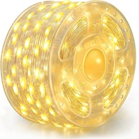 LED Solarbetriebene Kunststoff-Lichterkette für Außenbereich Garten IP33 Wasserdicht Baum Funkelnder Sternenhimmel-Effekt Tastatur/Fernbedienung CRI80