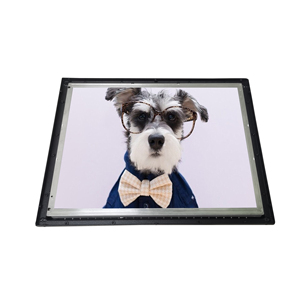 Open Frame Nits 17-Zoll-Industriemonitor mit hoher Helligkeit und VGA HD - Product Image 2