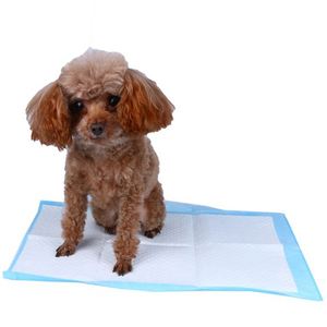 Tapis d'apprentissage pour chiots personnalisés, antidérapants et anti-fuites - Product Image 5