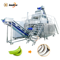 Automatische industriële bananen- en plantain-schilmachine, 5T/H, hoge efficiëntie, fruitenschilmachine, stoomschiller
