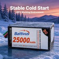 Batterie de drone semi-solide fiable -20°C pour démarrage à froid, 25Ah 53.4V 14S, pour missions hivernales, VTOL, cartographie, pulvérisateurs agricoles