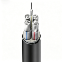 Câble d'alimentation électrique industriel flexible à moyenne tension personnalisable, conducteur en aluminium XLPE, indice de protection IP68, pour appareils ménagers