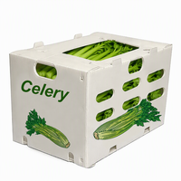 Caisse pliable en plastique ondulé PP écologique pour la vente en gros, idéale pour l'emballage de fruits (orange, pêche) et légumes, et pour le déménagement.