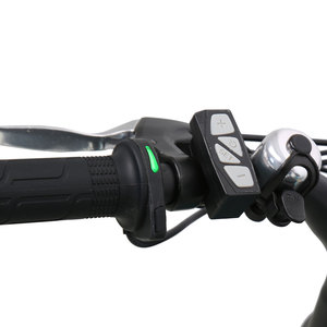 Bicicleta Eléctrica TXED E Nature Tour F con Motor de Cubo Trasero de 250W, 48V, Puños Calefactables, Placa Decorativa de Madera, Neumáticos Gruesos - Product Image 4