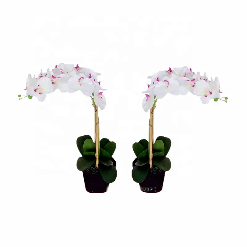 Beauty bonsai flower artificial orchid flower for home decor artificial small bonsai