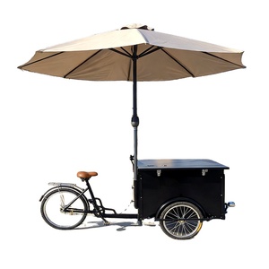 Carrito de Helados con Ruedas, Carrito de Helados para Bodas, Carrito de Venta de Helados, Triciclo de Helados en Venta - Product Image 1
