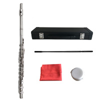 Chinese Good Student Woodwind Instrument Closed Hole Western Flute for Beginner OEM