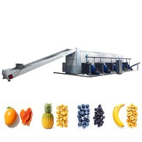 Séchoir à bande industriel fabriqué en Chine Séchoir à abricots Tranches de pomme/citron/aubépine Pilules Séchoir de pâturage