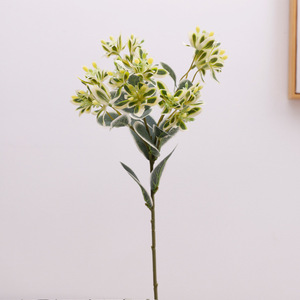 High Mountain Snow Artificial Plant With White <b>Edged</b> Leaves 46cm Indoor Wedding Decoration <b>Plastic</b> Fabric Arrangement - Product Image 4