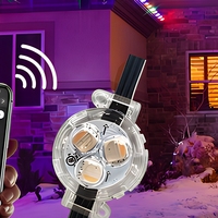 Lampu Natal LED Pixel Outdoor yang Dapat Diatur UCS2904 WS2811 Kontrol Aplikasi Logo Kustom