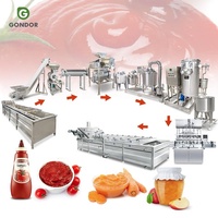 Unité de traitement de tomates, ligne de production de sauce tomate, ligne de production de tomates automatique, machine turque pour la fabrication de ketchup