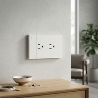 Prise électrique murale OEM personnalisée, norme américaine, structure durable de qualité supérieure, installation facile
