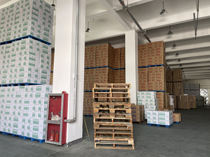 Ốc đảo 2025 Nhà Máy Trực Tiếp Tùy Chỉnh Sắp Xếp Bùn Hoa Bọt Dễ Dàng Hấp Thụ Hoa Tươi Bùn - Product Image 6