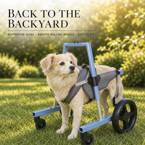 Silla de Ruedas Ajustable de Aluminio para Perros con Ruedas Delanteras y Traseras, Ayuda de Movilidad Portátil para Mascotas para Rehabilitación - Product Image 6