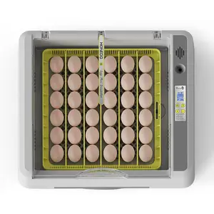 HHD 36 Incubadoras Máquina para incubar huevos Totalmente automática Túnez Precio de incubación Pantalla de lámpara de incubación