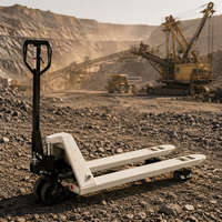 Chariot élévateur manuel 2,5T robuste pour l'Europe, série BE-S-III25 de haute qualité avec pneus en polyuréthane/nylon respectueux de l'environnement