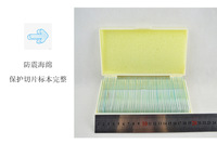 Human Histology Microscope Teaching Slides for Microscopic Science Research & Educational Purpose Prepared Slides