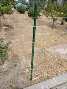 Clôture de champ en treillis métallique galvanisé à joint articulé, 50m/100m, pour bétail et élevage (vente en gros) - Product Image 5