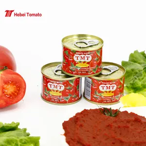 Tomato Paste Manufacturer Halal Tomato Paste 70G Canned Tomato Paste