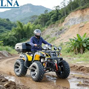 <span class=keywords><strong>Quad</strong></span> <span class=keywords><strong>chinois</strong></span> LNA avec logo personnalisé, 300cc, facile à conduire, idéal pour la conduite sur la plage - Product Image 3