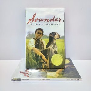 Sách Bán Chạy nhất-Newbery Huy Chương Chiến Thắng Tiểu Thuyết Lịch Sử cho trẻ em (tuổi 10-12) -Lịch Sử người Mỹ gốc Phi - Product Image 3