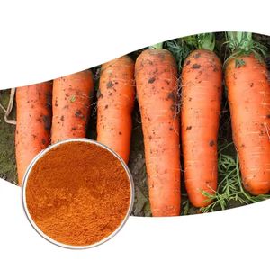 공장 공급 식품 등급 100% 순수 천연 당근 분말 카로틴 - Product Image 3