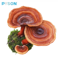 Extrait de Ganoderma Lucidum 30% Polysaccharides Poudre de champignon Reishi pour compléments alimentaires