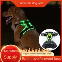 Evcil Hayvan Eğlence Işıklı Köpek Yeleği LED Yanıp Sönen USB Şarjlı Patlamaya Dayanıklı Oxford Kumaş Her Mevsim Dışarı Çıkma Kayışı