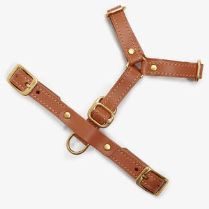 Arnés de Perro de Cuero Suave de Alta Calidad con Ajuste de 6 Puntos, Tamaño Pequeño, Herrajes de Latón Fundido de Primera Clase, Collar de Nailon y Correa - Product Image 2