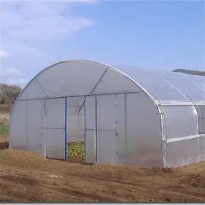 Invernaderos de fresa de plástico Invernadero de túnel de película de plástico de un solo tramo para tomate agrícola