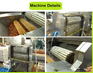 Verse Kersensteelverwijderingsmachine/Kersensteelverwijderingsmachine/Kersensteelmeer Roestvrij Staal - Product Image 5
