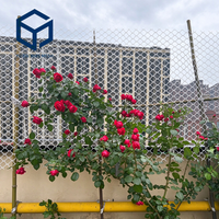 Treillis de jardin en plastique personnalisé OEM/ODM avec logo d'usine, filet de soutien pour plantes grimpantes, roses, vigne et légumes